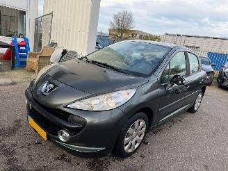 Coche accidentado Peugeot 207 1.4-16V XR 2006/5