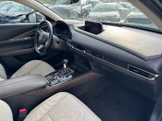 Mazda CX-30 2.0 e-SkyActiv-X M Hybrid Luxury picture 14