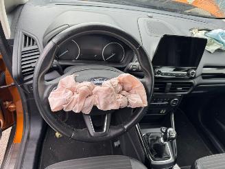 Ford EcoSport 1.0 EcoBoost Titanium picture 11