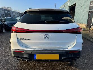 Mercedes EQA 250 Business Solution AMG 67 kWh AUTOMAAT picture 4