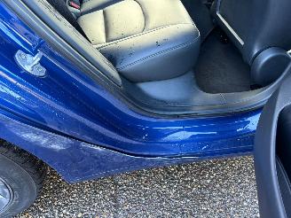 Tesla Model 3 Standard RWD Plus 60 kWh picture 10