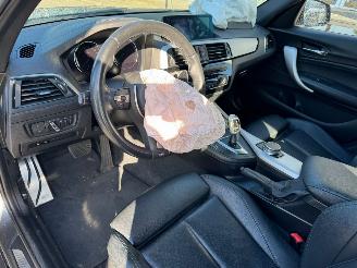 BMW 1-serie 120i Executive picture 8