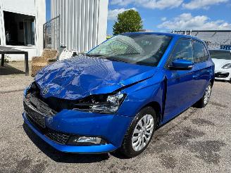 krockskadad bil auto Skoda Fabia 1.0 TSI Ambition 2021/1