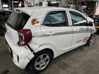 Kia Picanto Picanto (JA), Hatchback, 2017 1.0 DPi 12V picture 11