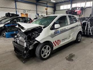Kia Picanto Picanto (JA), Hatchback, 2017 1.0 DPi 12V picture 2