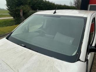 Opel Combo Combo Cargo, Van, 2018 1.6 CDTI 100 picture 27