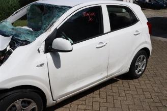 Kia Picanto Picanto (JA), Hatchback, 2017 1.0 DPi 12V picture 9