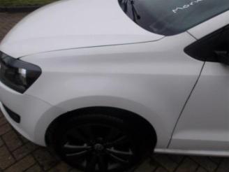 Volkswagen Polo Polo V (6R), Hatchback, 2009 / 2017 1.2 TDI 12V BlueMotion picture 22