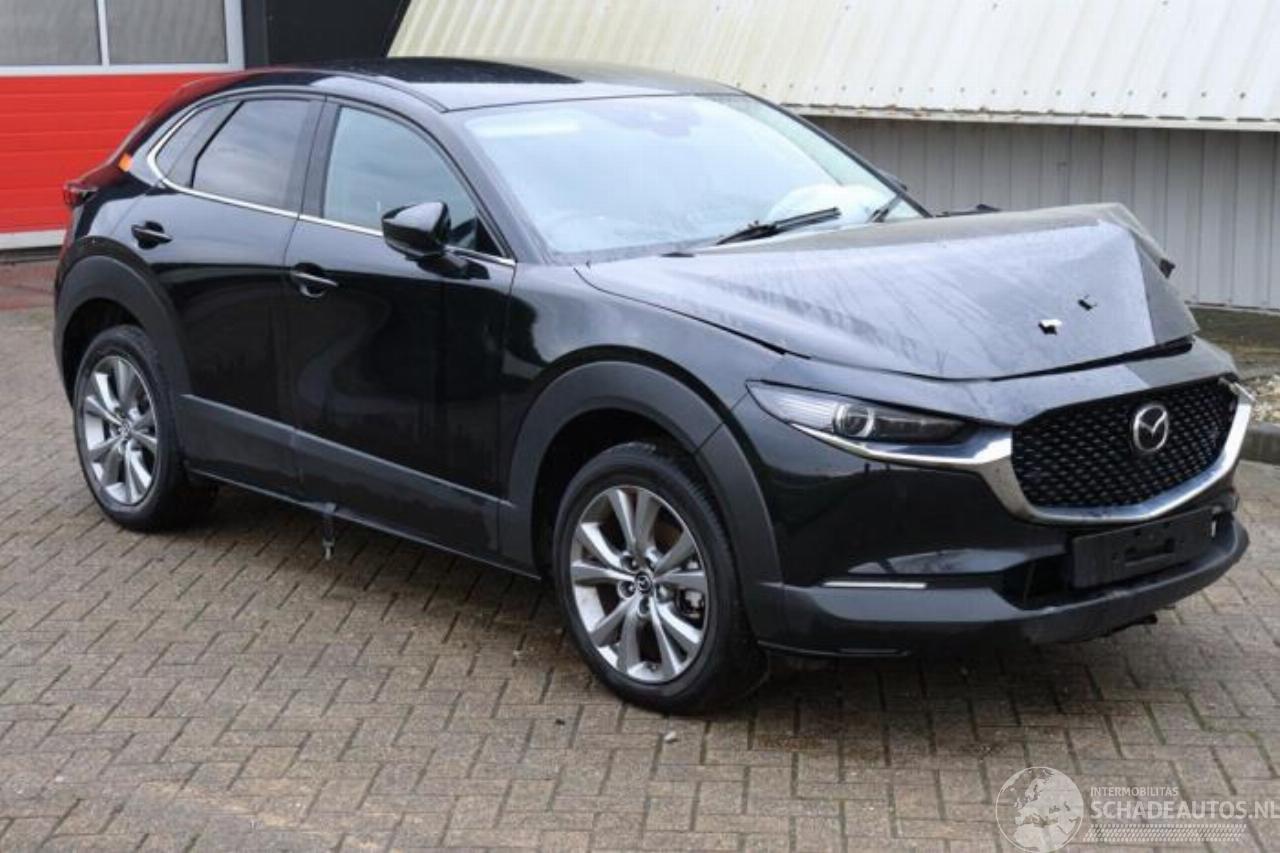Mazda CX-30 CX-30 (DM), SUV, 2019 2.0 e-SkyActiv-G 122 16V