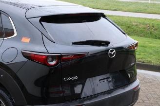 Mazda CX-30 CX-30 (DM), SUV, 2019 2.0 e-SkyActiv-G 122 16V picture 33