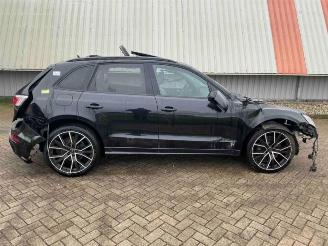 Audi SQ5 SQ5 (8RB), SUV, 2012 / 2017 3.0 TDI V6 24V picture 2