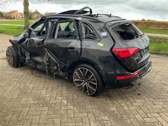 Audi SQ5 SQ5 (8RB), SUV, 2012 / 2017 3.0 TDI V6 24V picture 5