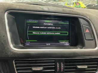 Audi SQ5 SQ5 (8RB), SUV, 2012 / 2017 3.0 TDI V6 24V picture 11