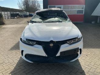  Alfa Romeo Tonale Tonale, SUV, 2022 1.3 T Hybrid Q4 2025/1