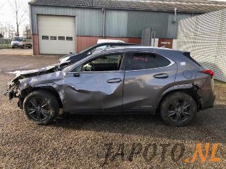 Lexus UX UX, SUV, 2019 250h 2.0 16V picture 2