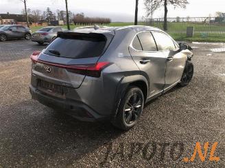 Lexus UX UX, SUV, 2019 250h 2.0 16V picture 5