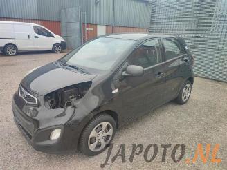 Vrakbiler auto Kia Picanto Picanto (TA), Hatchback, 2011 / 2017 1.0 12V 2011/6