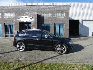 Schadeauto Audi SQ5 3.0 TDI SQ5 q. Pro L 2015/8