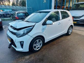 Schadeauto Kia Picanto Picanto (JA) Hatchback 1.0 12V (G3LD) [49kW] 2023/6