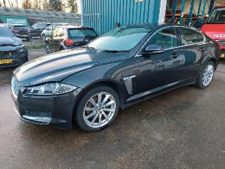 škoda osobní automobily Jaguar XF 2.2 Diesel 2014/1