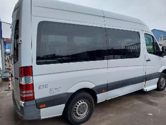 Mercedes Sprinter Sprinter 3,5t (906.73) Bus 311 CDI 16V picture 6
