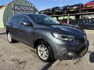 uszkodzony samochody osobowe Renault Kadjar 1.2 TCE 96KW Clima Navi Led Camera Intens NAP 2017/3
