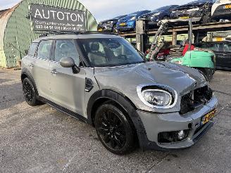 Schadeauto Mini Countryman 1.5 75KW Autom. Pano Clima Navi Dutch Made Edition Led 2019/9