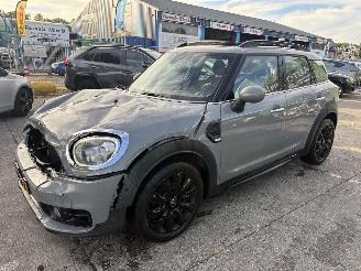 Voiture accidenté Mini Countryman 1.5 75KW Autom. Pano Clima Navi Dutch Made Edition Led 2019/9