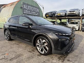 Unfallwagen Skoda  85 210KW Sportline Edition Clima Navi Led 2025/5