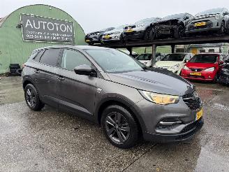 Opel Grandland X 1.2 Turbo 96KW Clima Navi Led 120 Jaar Edition NAP picture 1