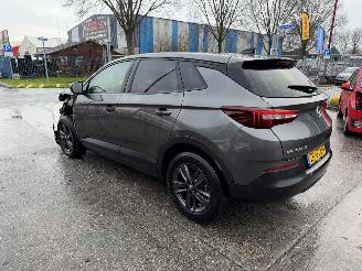 Opel Grandland X 1.2 Turbo 96KW Clima Navi Led 120 Jaar Edition NAP picture 4