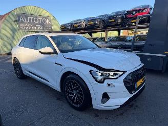  Audi E-tron 55 95 kWh 300KW Quattro Advanced Pano Clima Navi Led Xenon 2019/12