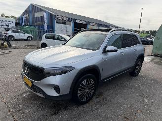 Mercedes EQB 250+ 71kWh 140KW Pano Sfeerverlichting Clima Navi 7-Pers Business Line NAP 2024/11