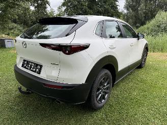 Mazda CX-30 2.5 Hybrid picture 5