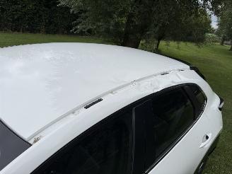 Mazda CX-30 2.5 Hybrid picture 13
