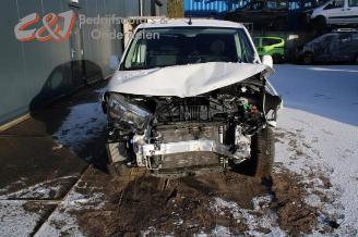 Opel Combo Combo Cargo, Van, 2018 1.6 CDTI 100 picture 9