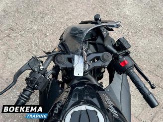 Kawasaki  Ninja 125 picture 16