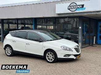 krockskadad bil auto Lancia Delta 1.4 16V Oro Airco Half-Leer 2010/5