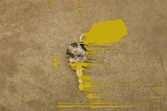 Suzuki Alto 1.0 Comfort Plus picture 16