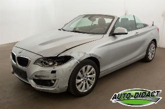 Auto incidentate BMW 2-serie 220 cabrio Automaat Navi 2015/3
