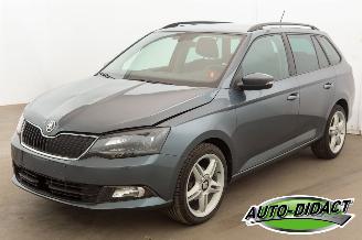 Unfallwagen Skoda Fabia 1.0 TSI Clima Navi 120.179 km 2018/4