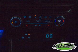 Ford EcoSport 1.0 ST Line Clima Navi Camera picture 10