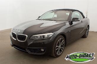 BMW 2-serie 218i Cabrio Clima Navi CARPAS picture 5