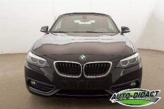 BMW 2-serie 218i Cabrio Clima Navi CARPAS picture 37