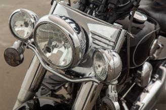 Harley-Davidson  FLSTC picture 23