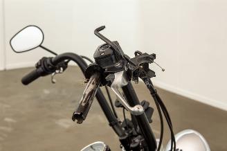 Harley-Davidson  FLSTC picture 20