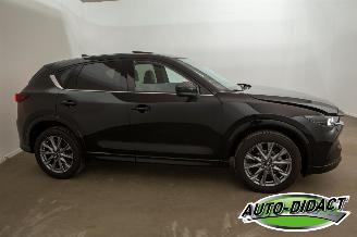 Mazda CX-5 2.0 SAG Automatic 2WD 165 Takumi picture 39