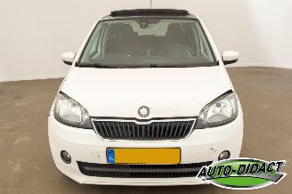 Skoda Citigo 1.0 Airco Open Pano Greentech Arctic Air picture 32