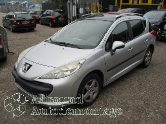 Vrakbiler auto Peugeot 207 207 SW (WE/WU) Combi 1.4 16V Vti (EP3(8FS)) [70kW]  (06-2007/10-2013) 2009/1