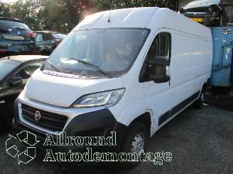 Vrakbiler auto Fiat Ducato Ducato (250) Van 2.3 D 130 Multijet (F1AGL411D(Euro 6)) [96kW]  (08-20=
06/...) 2017/9
